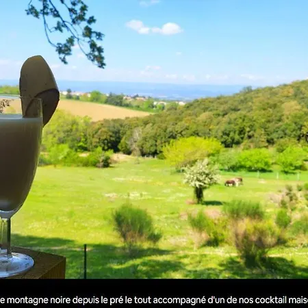 A 10 Min De La Cite Medievale De Carcassonne * Alairac