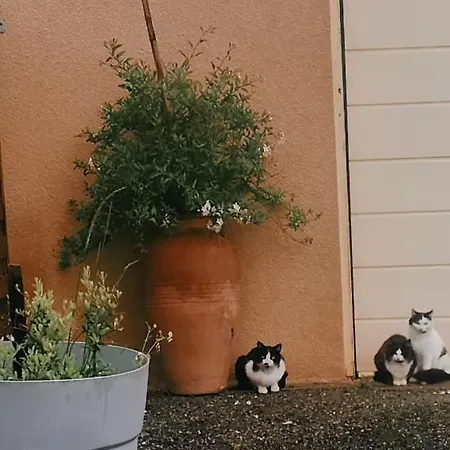 A 10 Min De La Cite Medievale De Carcassonne *