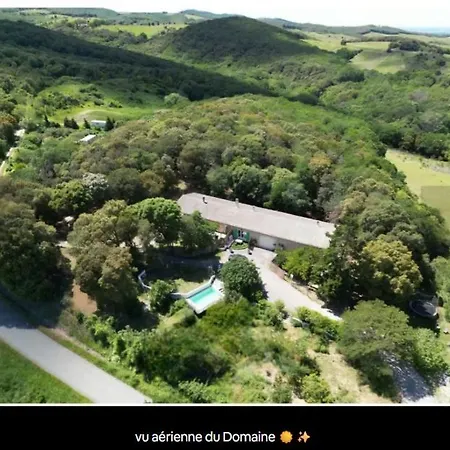 A 10 Min De La Cite Medievale De Carcassonne Lejlighed