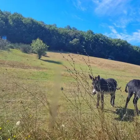 A 10 Min De La Cite Medievale De Carcassonne