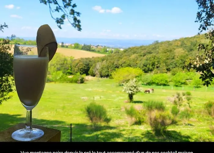 A 10 Min De La Cite Medievale De Carcassonne * Alairac