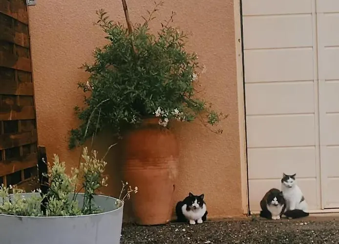 A 10 Min De La Cite Medievale De Carcassonne *