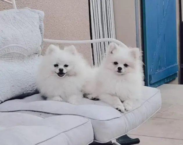 Διαμέρισμα A 10 Min De La Cite Medievale De Carcassonne